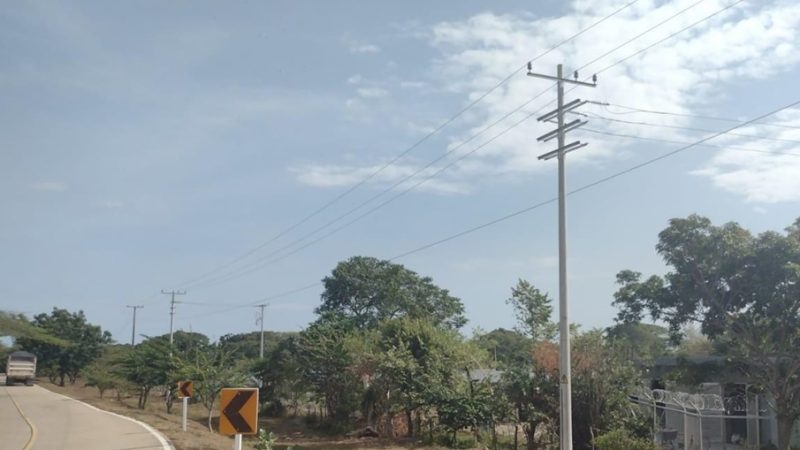 Labores de poda de Air-e Intervenida en Repelón