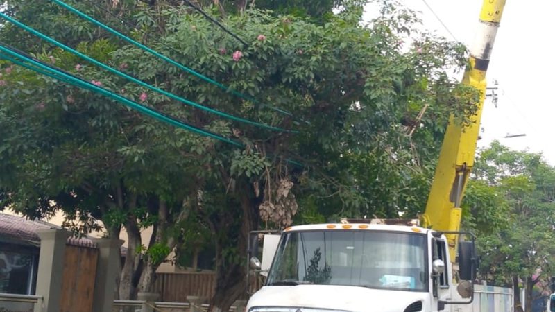 Mantenimiento preventivo en un sector del barrio Limoncito en Barranquilla