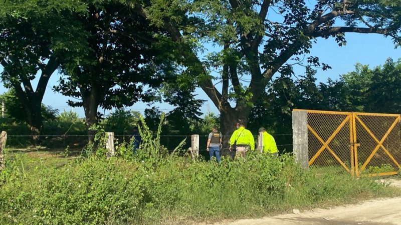 20 piscinas para la cría de peces operaban con luz robada en finca en Zona Bananera