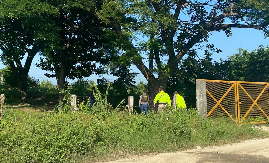 20 piscinas para la cría de peces operaban con luz robada en finca en Zona Bananera