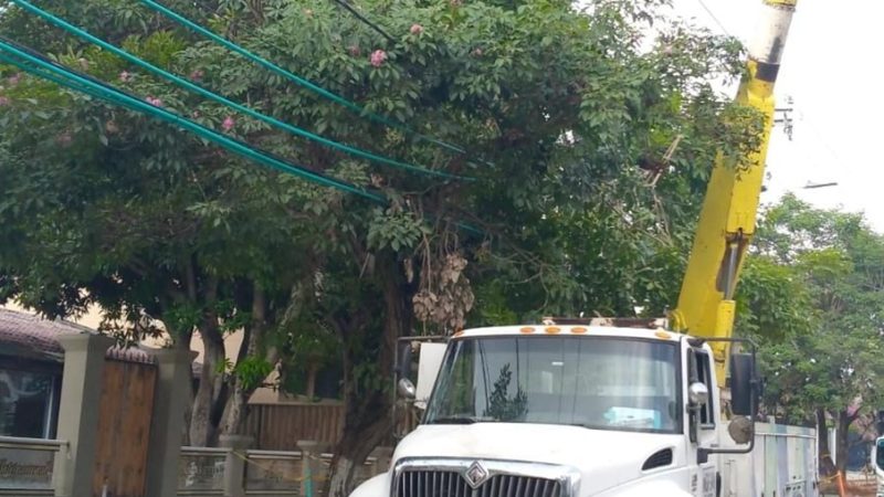 Trabajos eléctricos en sectores del municipio de Soledad