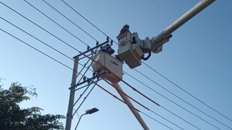 Labores de poda preventiva en el barrio La Unión en Barranquilla