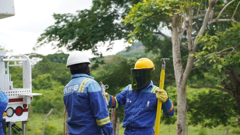 Labores de poda en Galapa