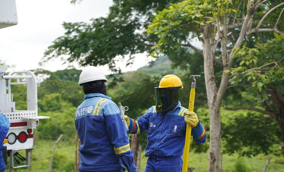 Labores de poda en Galapa