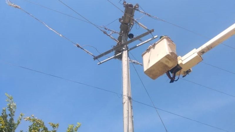 Labores de poda preventiva en Luruaco y Repelón