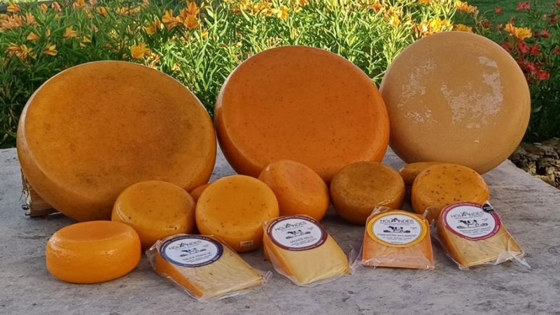 El queso colombiano HolaAndes fue calificado como el mejor en Suiza