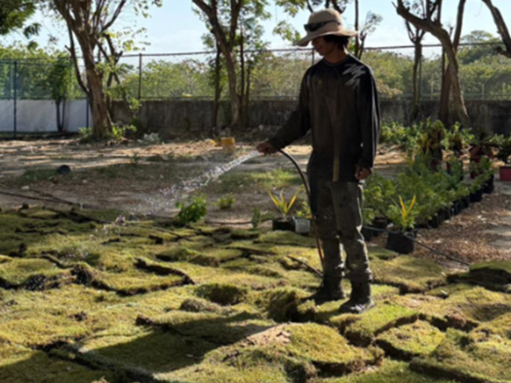 Estudiantes del Alexander Von Humboldt disfrutan espacios del colegio reverdecidos con grama del ‘Metro’