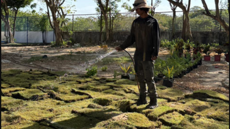 Estudiantes del Alexander Von Humboldt disfrutan espacios del colegio reverdecidos con grama del ‘Metro’