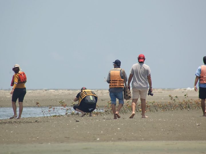 Carnaval de Barranquilla convierte la biodiversidad en protagonista y proyecta a la ciudad desde la biocultura