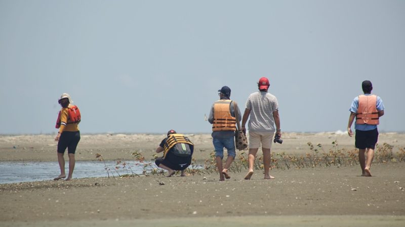 Carnaval de Barranquilla convierte la biodiversidad en protagonista y proyecta a la ciudad desde la biocultura