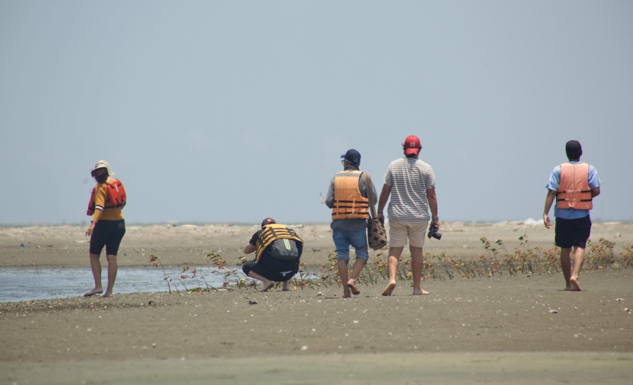 Carnaval de Barranquilla convierte la biodiversidad en protagonista y proyecta a la ciudad desde la biocultura
