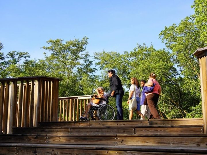 Barranquilla fue seleccionada entre los 10 destinos turísticos más accesibles de Colombia 