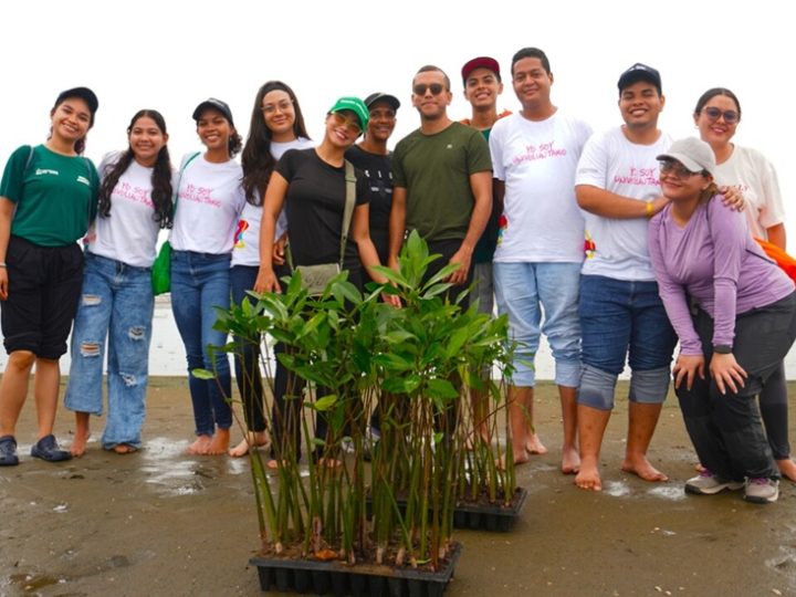 Más de 80 voluntarios siembran 335 manglares rojos en la Ciénaga de Mallorquín