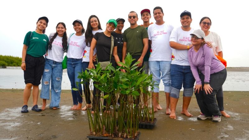Más de 80 voluntarios siembran 335 manglares rojos en la Ciénaga de Mallorquín
