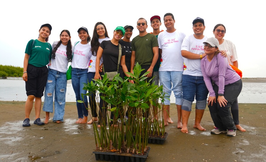 Más de 80 voluntarios siembran 335 manglares rojos en la Ciénaga de Mallorquín