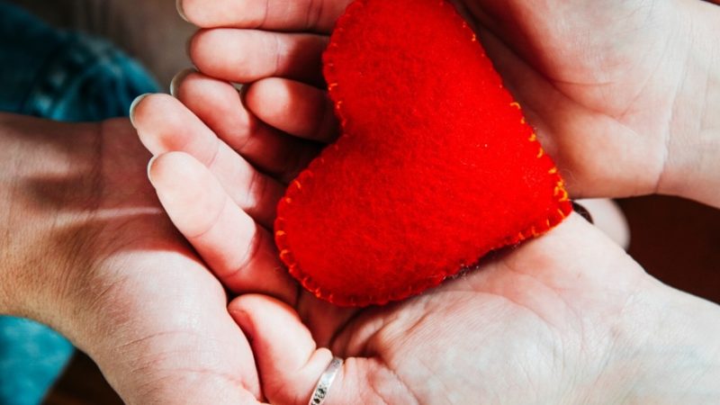 Más de 1.000 pacientes han recibido un trasplante en los últimos 4 años, una nueva oportunidad de vida